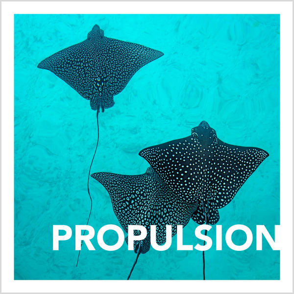 Propulsion