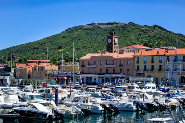 Pyrénées-Orientales - Ce club de plongée lance un bateau 100% électrique