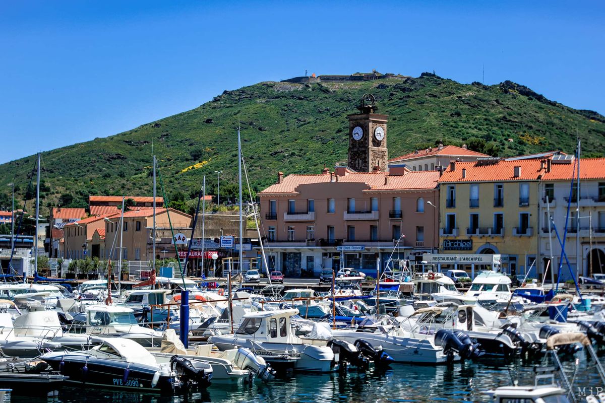 Pyrénées-Orientales - Ce club de plongée lance un bateau 100% électrique