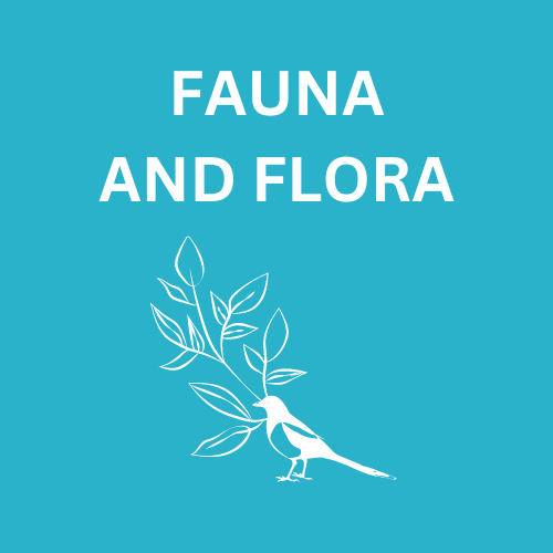 Fauna and flora