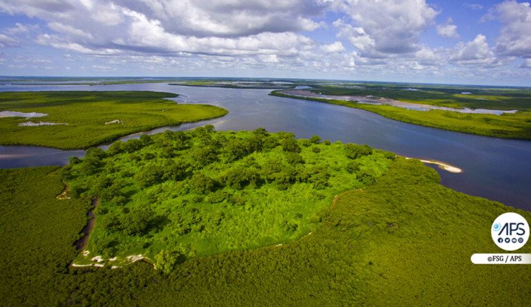 SENEGAL-AFRIQUE-ENVIRONNEMENT / Aires marines protégées : la Côte d’Ivoire, nouveau membre du …