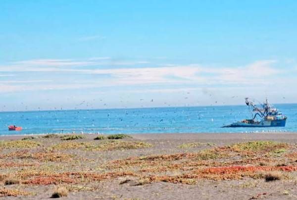 Espgane - pêche illégale dans l'AMP de Cobquecura