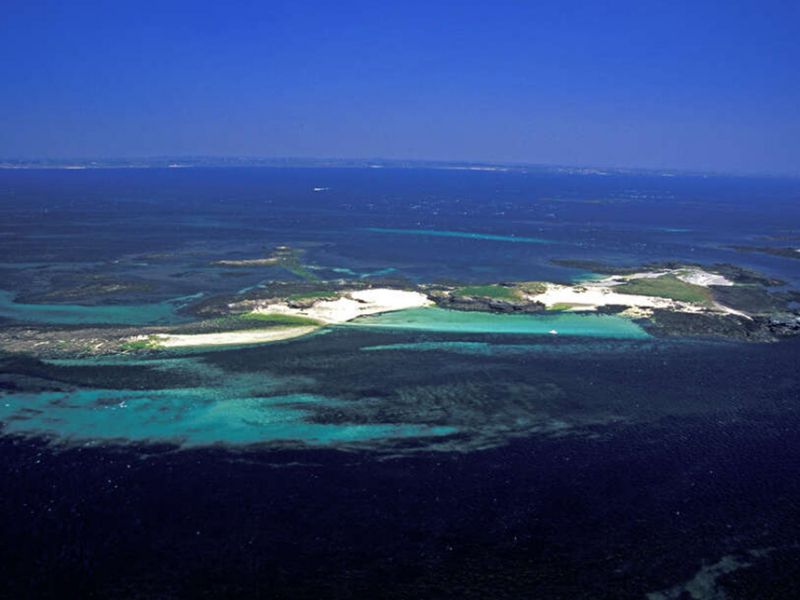 Le Parc naturel marin d'Iroise