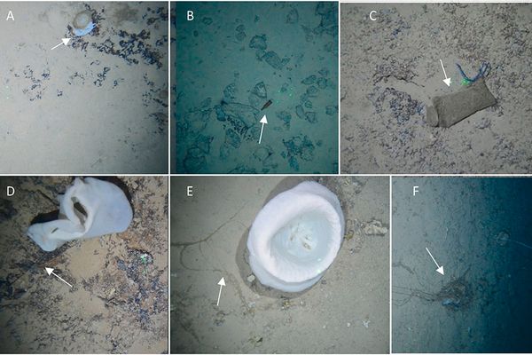 Lanzarote - déchets étudiés dans l'AMP