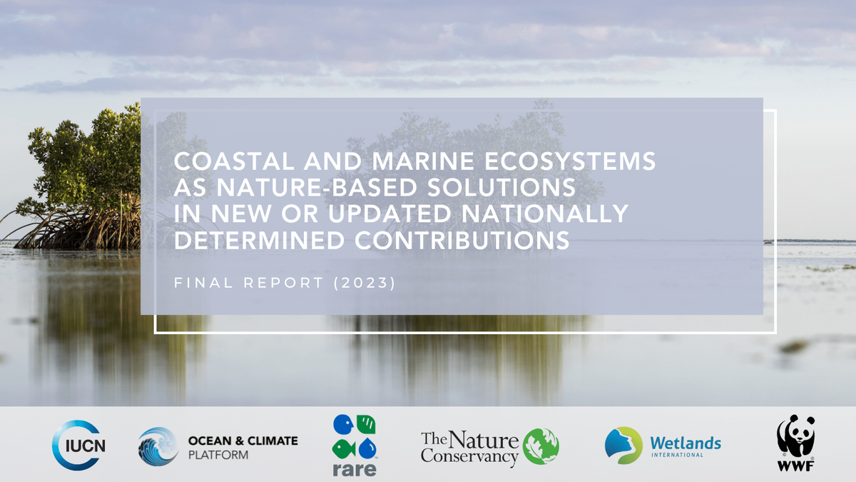 On the eve of COP28 and the Global Stocktake, analysis shows a growing inclusion of coastal and mar…