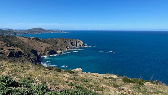 Cerbère et Banyuls-sur-Mer - l'AMP porte ses fruits