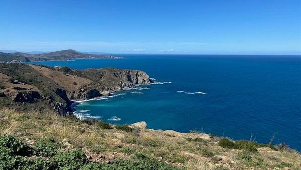 Cerbère et Banyuls-sur-Mer - l'AMP porte ses fruits