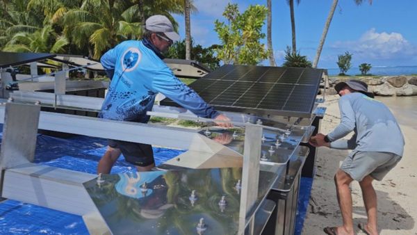 Raiatea - 1ère centrale solaire flottante