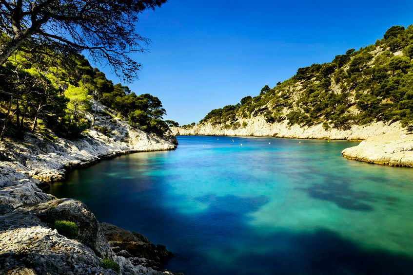 Marseille - la biodiversité face à la pollution