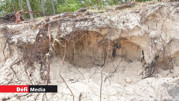 Île Maurice - réhabilitation du littoral sur 8,5 km