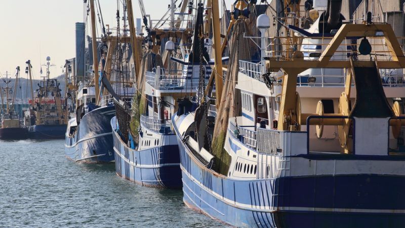 Europe - les États membres pêchent aux chaluts dans les amp