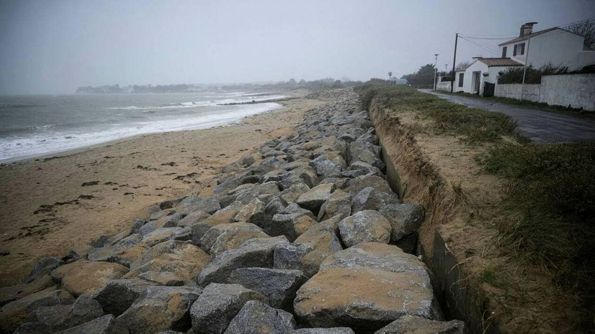 Noirmoutier : préservons les océans l’île qui lutte contre la mer