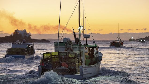 Les pêcheurs de homards navigueront peut-être bientôt à l’électricité | Radio-Canada.ca