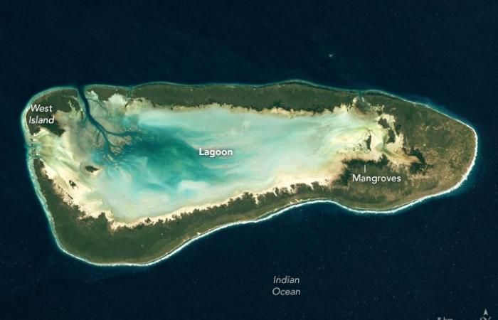 Atoll d’Aldabra : recrudescence de la biodiversité marine