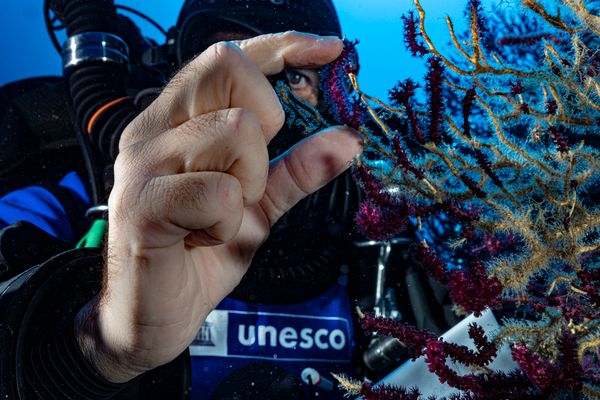 Mission "Arche de Noé des profondeurs"