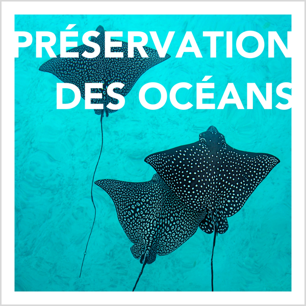 Préservation des océans