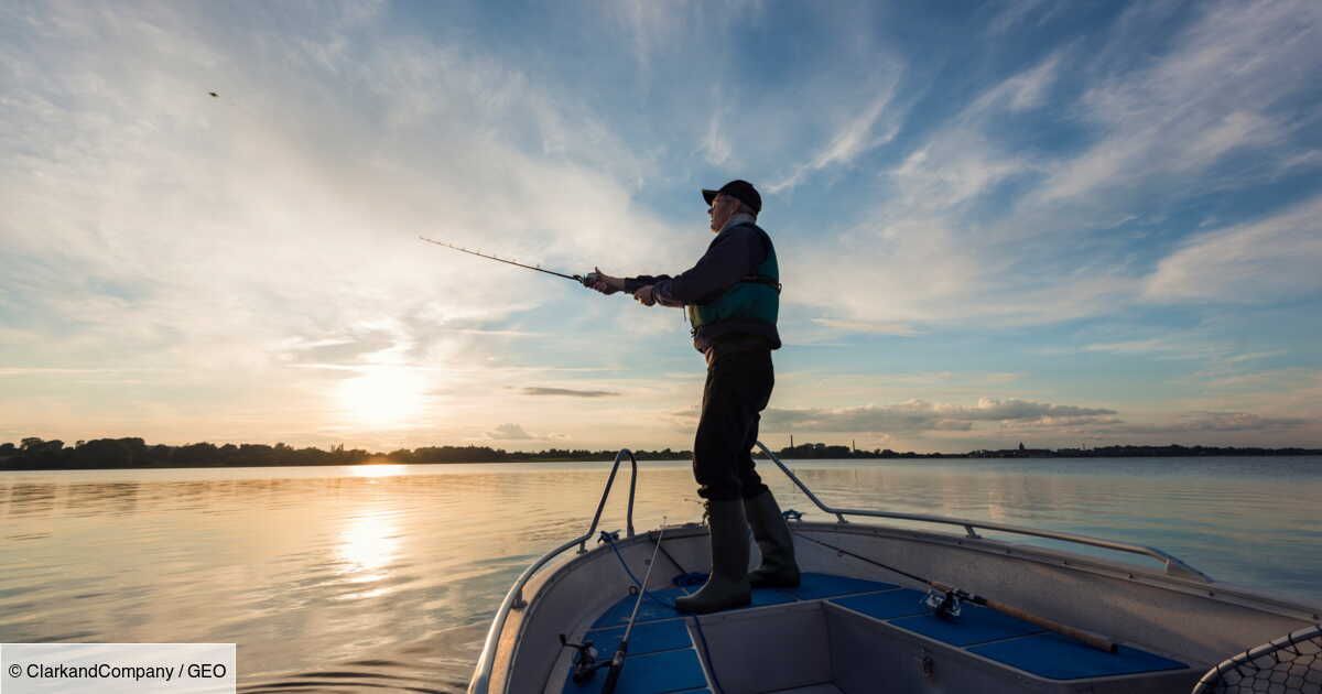 Les aires marines protégées, bonnes pour la pêche, et pas seulement