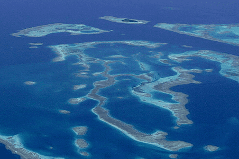 Mer de Corail : le gouvernement multiplie la surface des réserves marines de la Nouvelle-Calédoni…