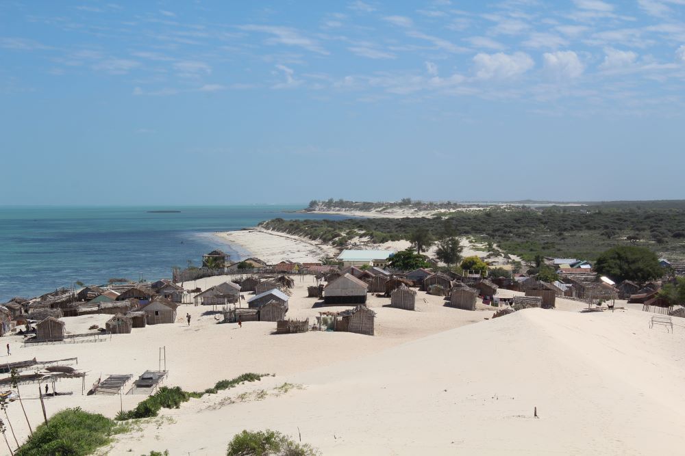 Madagascar : Les bienfaits des aires marines protégées sur les coraux - Afrique Sub-Saharienne