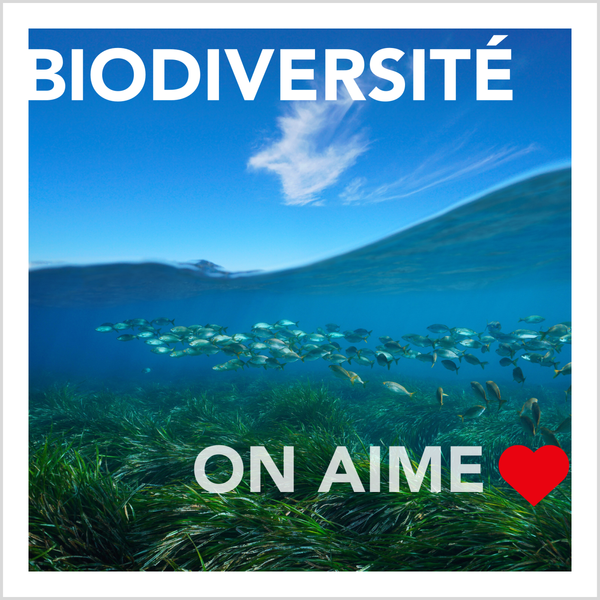 Biodiversité