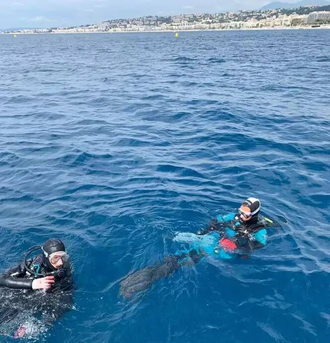 "On ne s’attendait pas à une telle richesse": des scientifiques scannent les fonds marins de Nic…