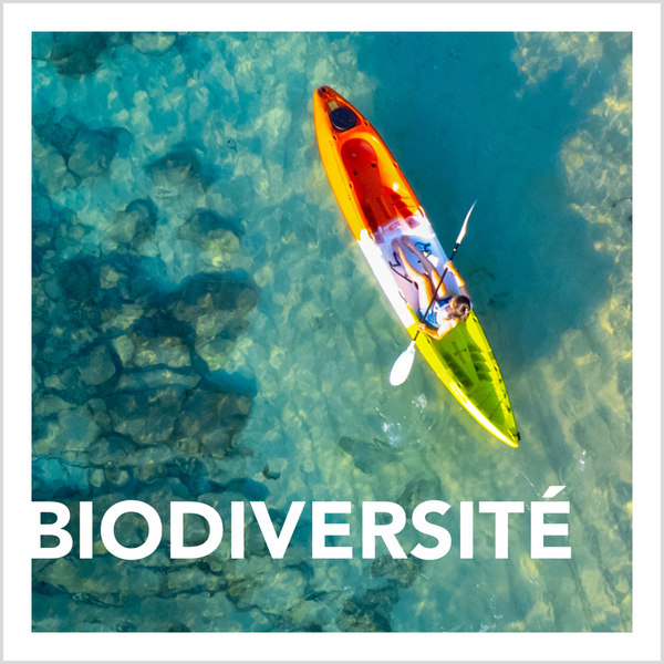 Biodiversité
