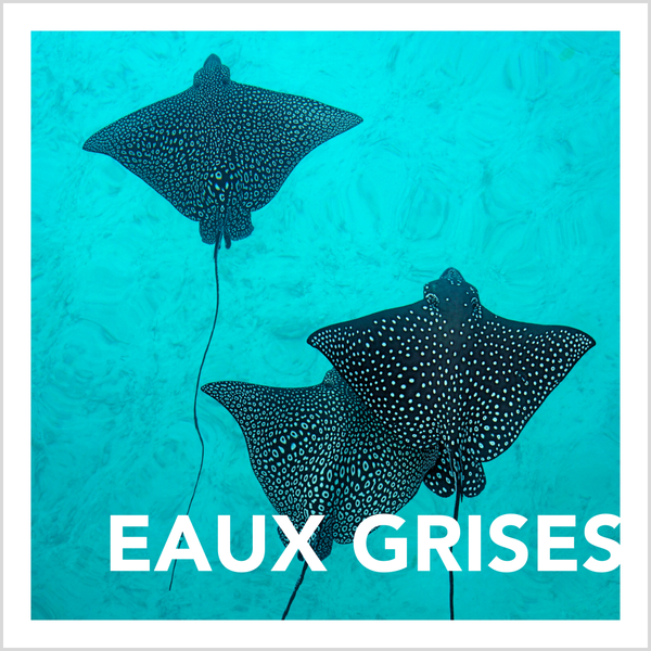 Eaux grises
