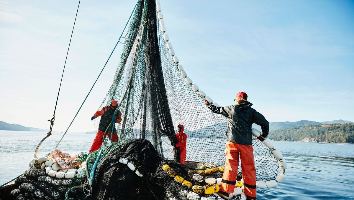 Une pêche durable est elle possible ?