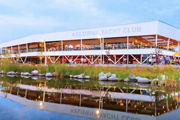 Des moules envahissent le port de Kelowna