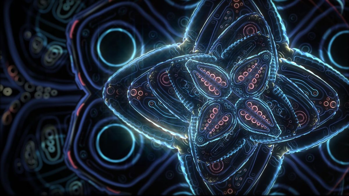 Cosmic Flower Unfolding on Vimeo