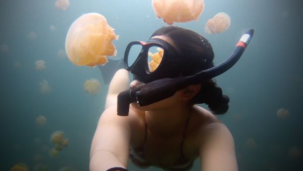 GoPro: Lost in Jellyfish Lake