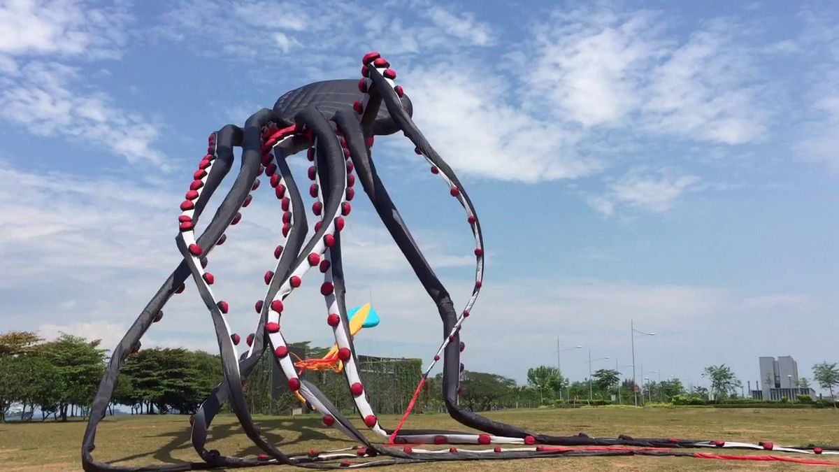 Giant Octopus Kite - YouTube