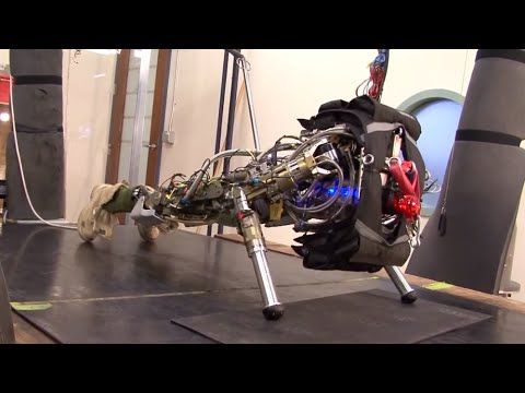 Push It to The Limit Petman, Atlas Boston Dynamics