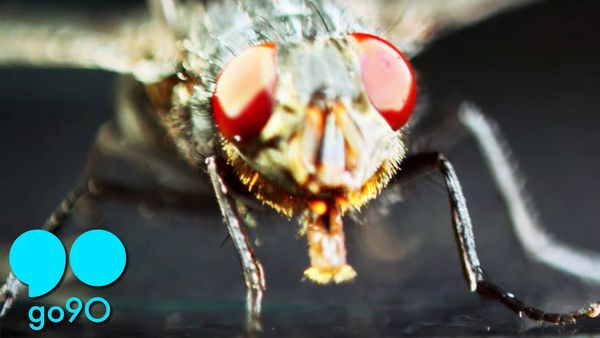 Love Again (feat. Gangsta Boo) - Run The Jewels | JASH | go90 Original Series - YouTube