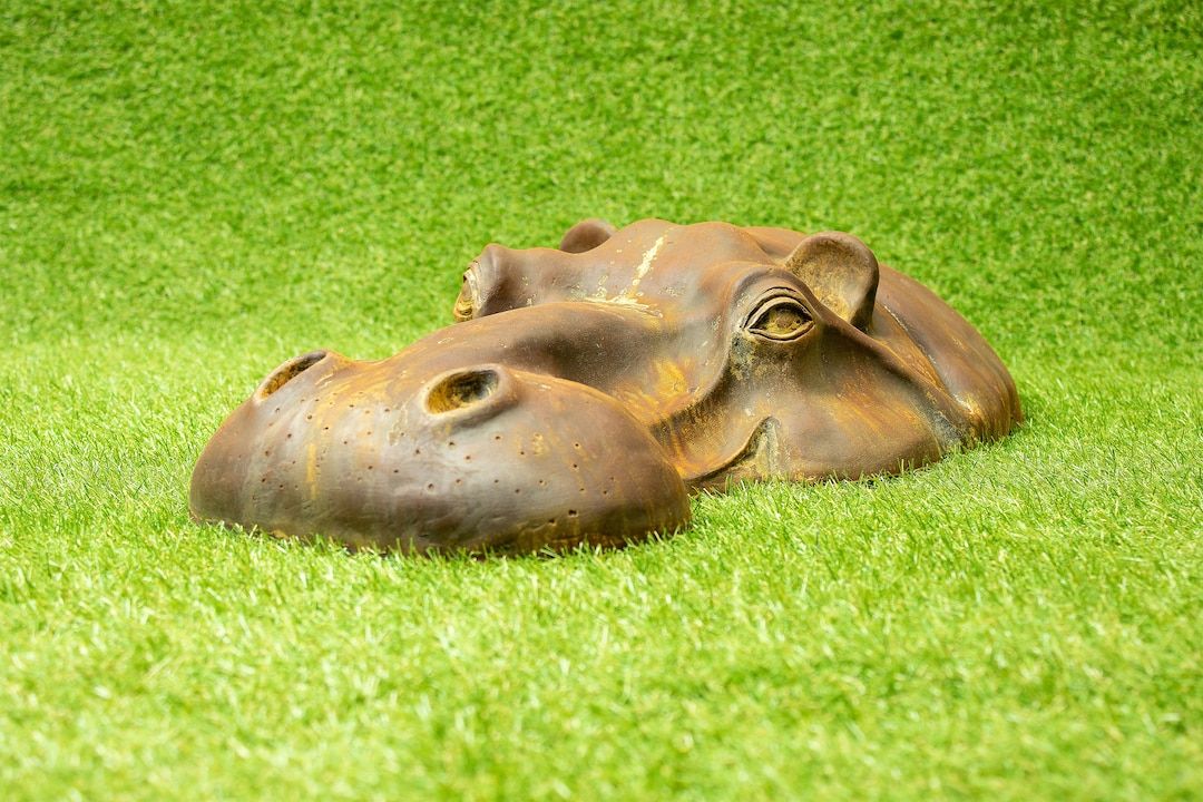 Hippo Head Garden Sculpture Outdoor Thank You Gift - Etsy