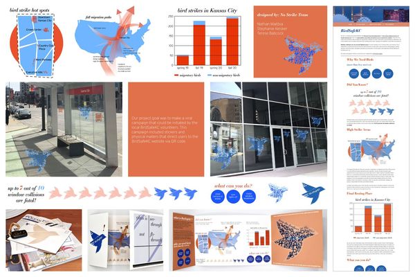 Bird Strike Campaign (Spec)