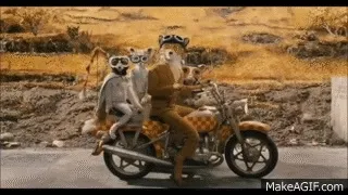 Fantastic Mr Fox GIF - Find & Share on GIPHY