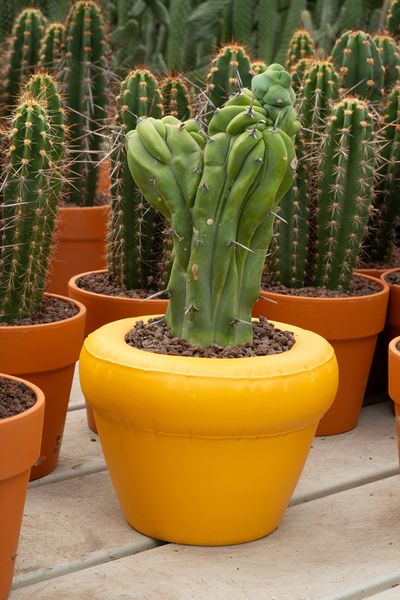 Keramik von Home Studyo 