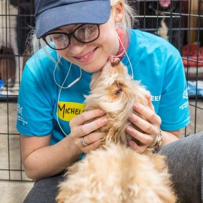 The Humane Society of The United States | The Humane Society of the United States