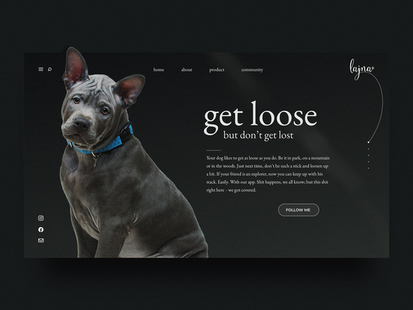 Dog Collar Landing copy logo ui dailyui concept landing website web pet friend animal dog - Client …