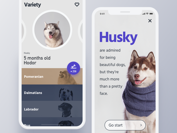 May be an interesting way to show stories