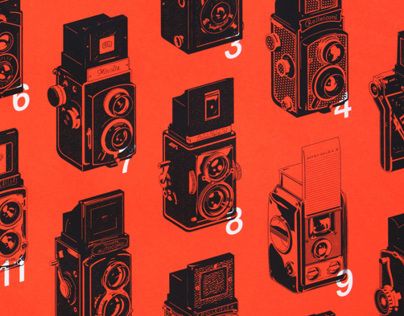 Evolution of the Twin Lens Reflex