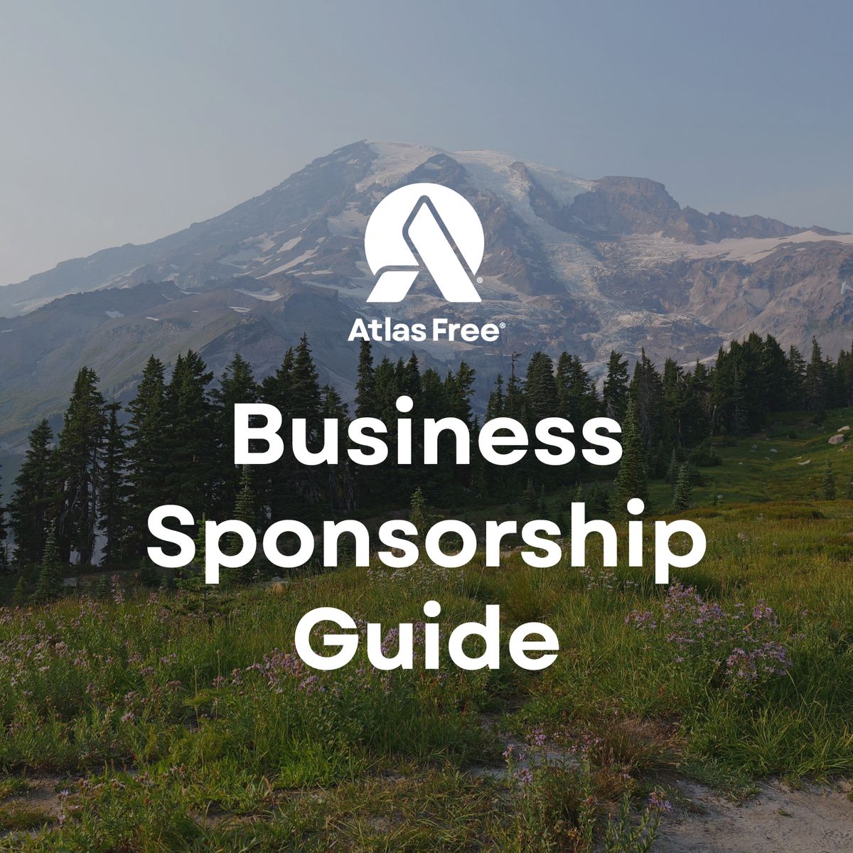 Business Sponsorship Letter