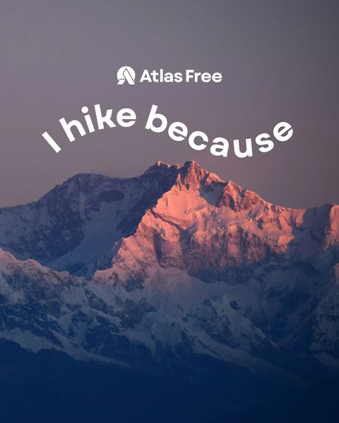 AP-shareables-summer-2025-4a