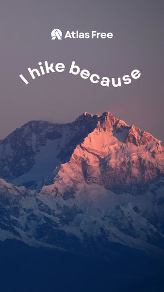 AP-shareables-summer-2025-4b