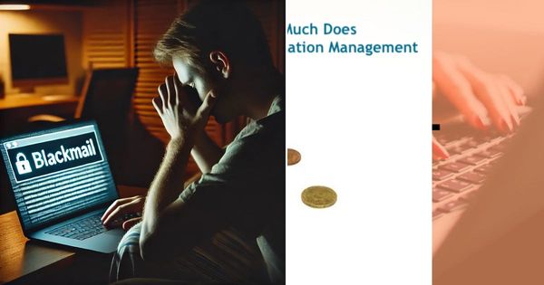 Online Reputation Repair Solutions and Free Do It Yourself Reputation Management Advice by Joseph C…