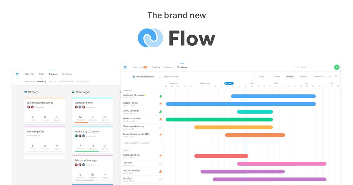 Project & Task Management Software for Teams - Flow
