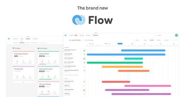 Project & Task Management Software for Teams - Flow