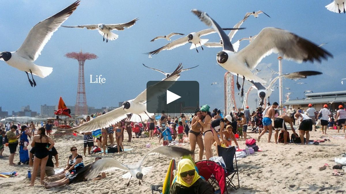 New York Times ‘Life Needs Truth’ - Director: Kim Gehrig on Vimeo