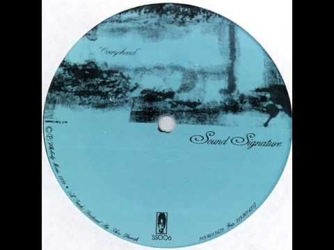 Theo Parrish: Overyohead